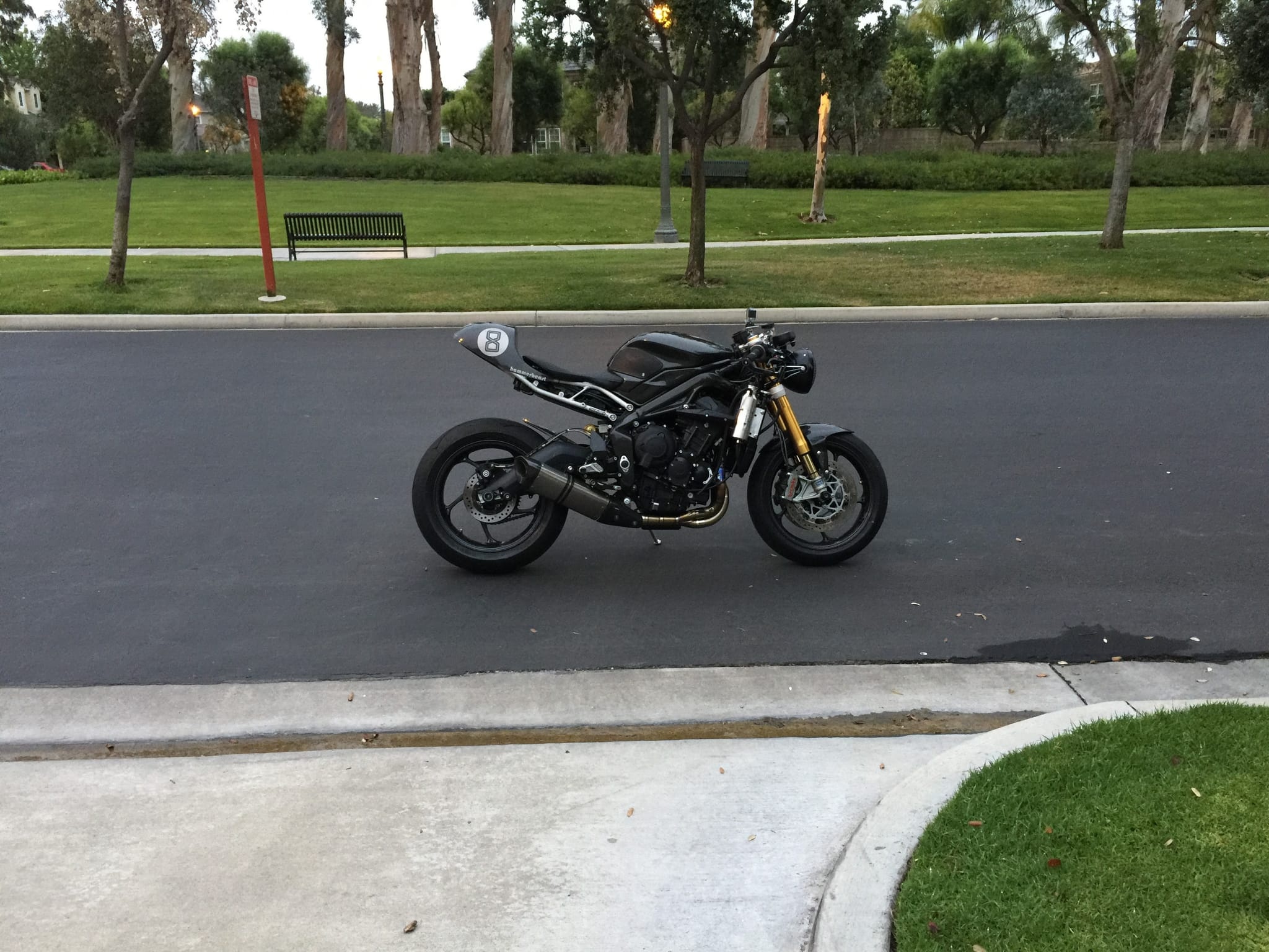 Triumph 675R Cafe Racer photo 118